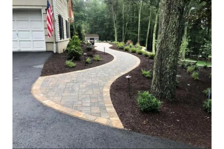 Tree One Experts image 5