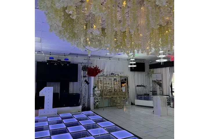 SALON DE FIESTAS image 7