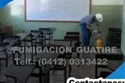 fumigacion caracas guarenas