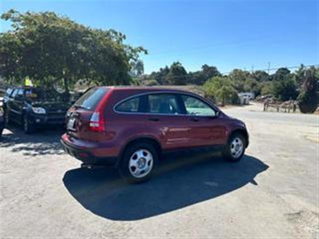 $6999 : 2009 HONDA CR-V image 6