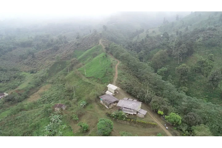 $390000 : Se vende hacienda 78ha Bolivar image 1