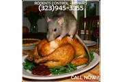24/7 Rodent's Control-Repairs. thumbnail