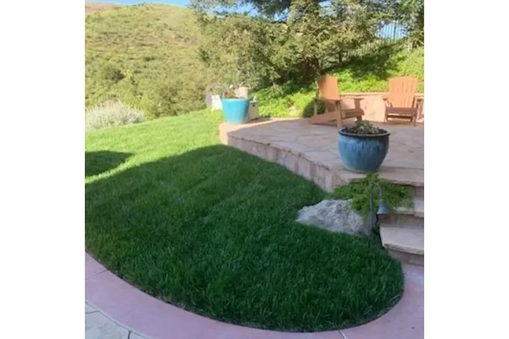 BSA Gardening Services image 5