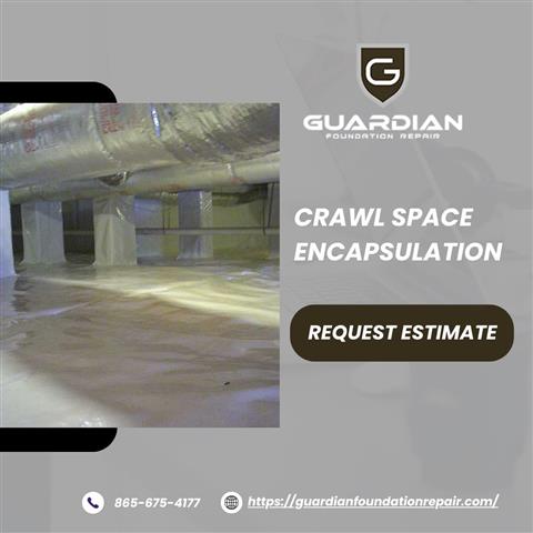 Crawl Space Encapsulation image 1