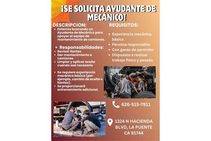 ASSISTENTE DE MECHANICO image 1