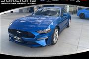 2021 Mustang Coupe I-4 cyl