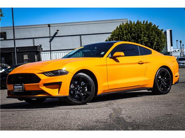 2019 Ford Mustang EcoBoost image 2