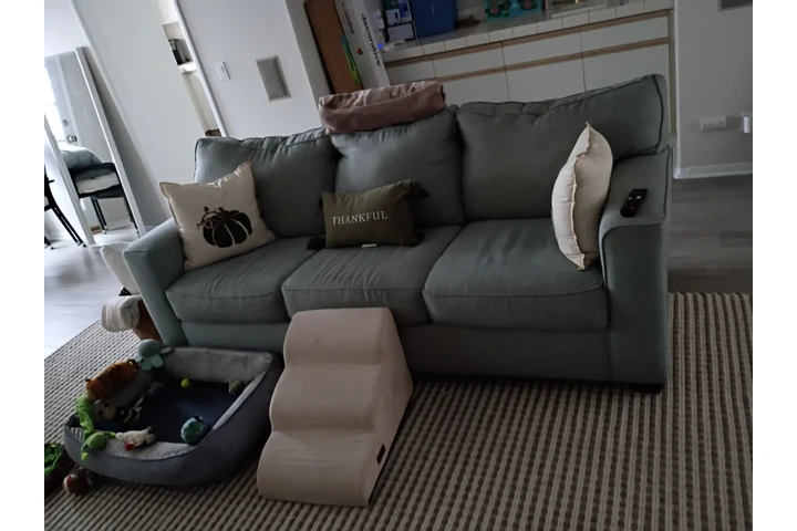 LIMPIEZA PROFESIONAL image 4