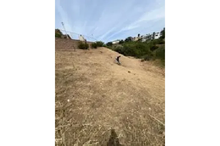 JARDINERÍA EN GENERAL image 6