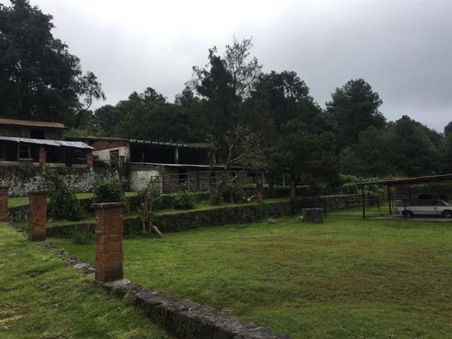 $8500000 : Rancho en Venta Hitzilac Mor image 4