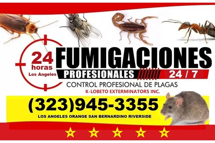 FUMIGACION EXCELENTE ECONOMICO image 1