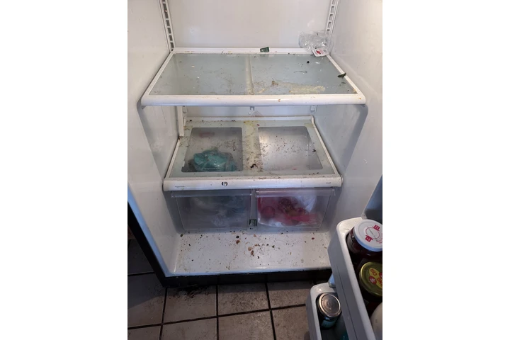 Servicio de limpieza image 4