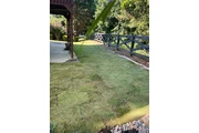 🌳MATÍAS LAWN SERVICES🌳 thumbnail