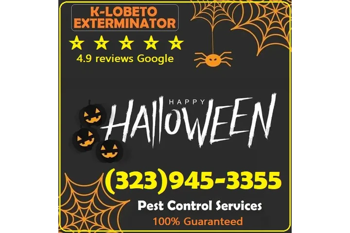 FUMIGACIONES 🎃 🦇 HALLOWEEN.- image 8