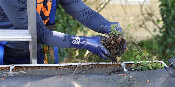 Cleaning gutters image 3