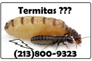 FUMIGACION TERMITAS L.A.- en Los Angeles