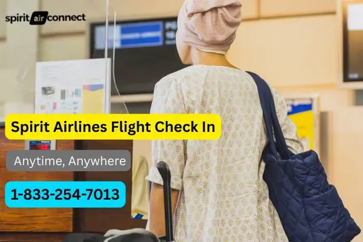 spirit flight check in image 1