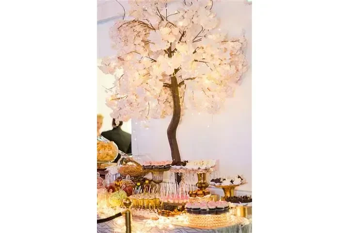 Best hall for any celebration! image 3