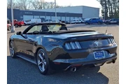 $19988 : Ford Mustang 2017 V6 2dr Con thumbnail