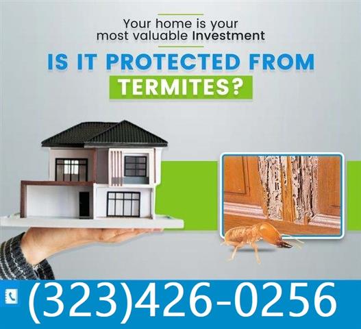 Termite Control100%Garantizado image 4