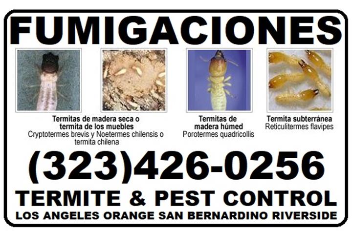 Fumi-Gas-Termite-Pest-Control image 1