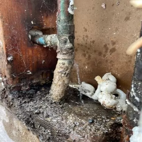 SoCal Plumbers image 8