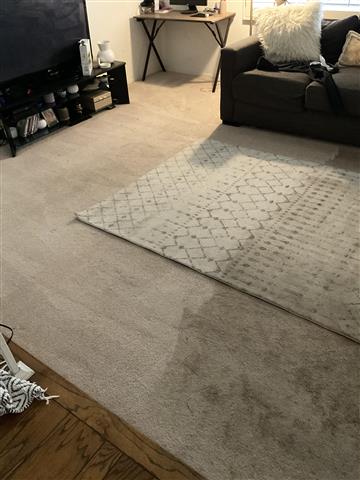 Steam Carpet Cleaning image 5