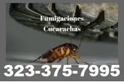 FUMIGACIONES GARANTIZADAS.24/7 thumbnail