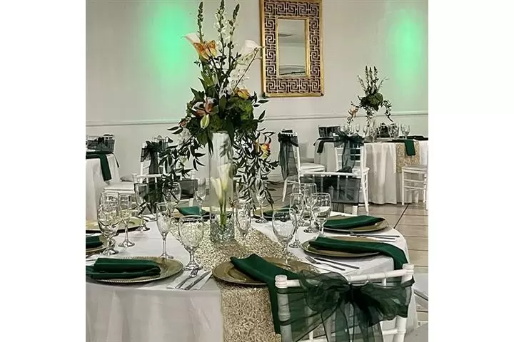 SALÓN DE FIESTAS image 8