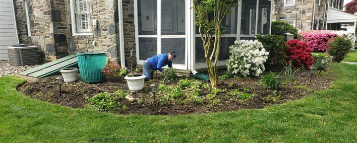 Landscaping Services image 1