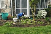 Landscaping Services en Philadelphia