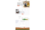 💻 Diseño Web Profesional thumbnail