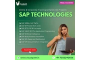 Best Online SAP Module Trainin en London
