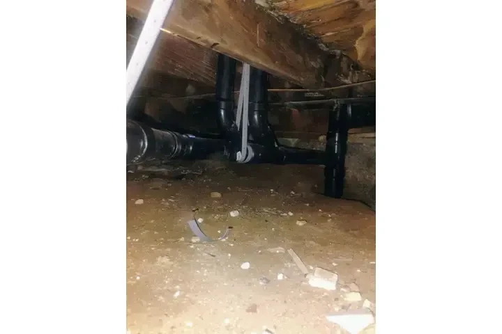 CARNALES PLUMBING image 4