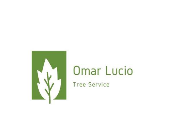 OMAR LUCIO TREE SERVICE image 3