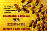 Control Abejas-removemos panal thumbnail