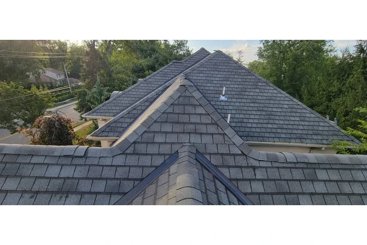 LUISGUAMANHOMEIMPROVEMENTCORP image 4