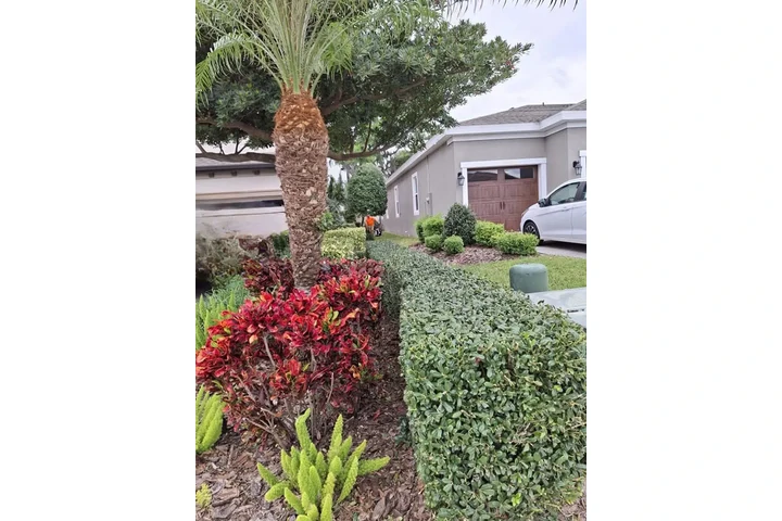 LANDSCAPING AND LANW CARE. image 4