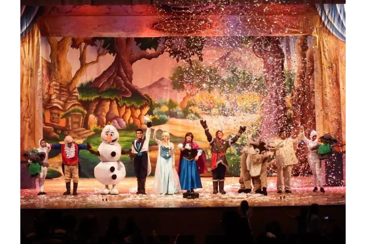 Shows infantiles y teatro image 6