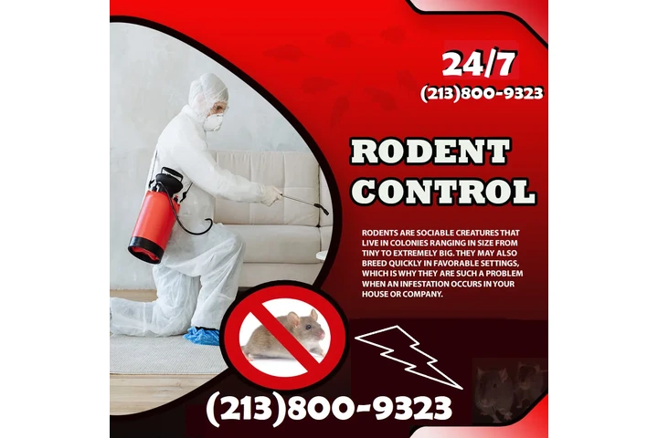 CONTROL TERMITAS (213)800-9323 image 9