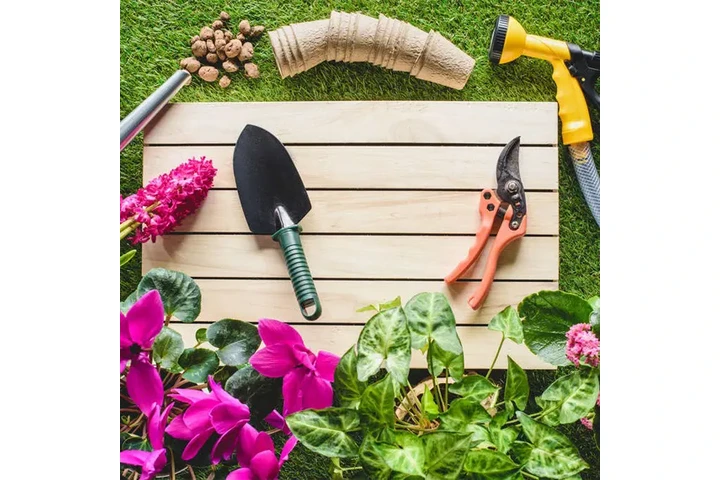 SERVICIO DE JARDINERÍA image 4