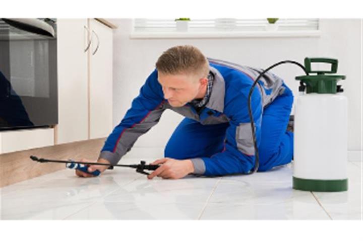 Home Pest Control Services image 1