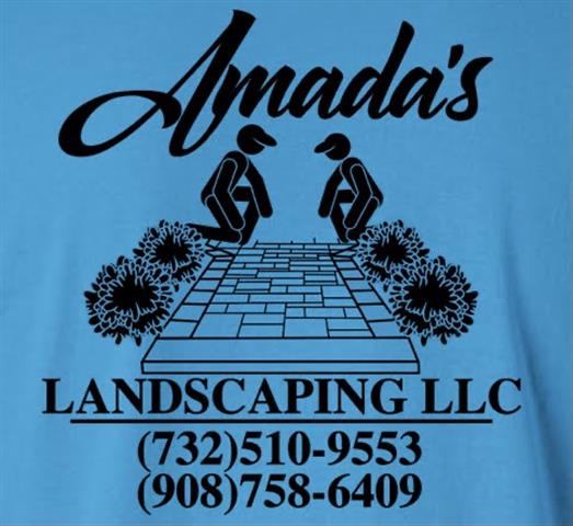 Amada’s landscaping llc image 8