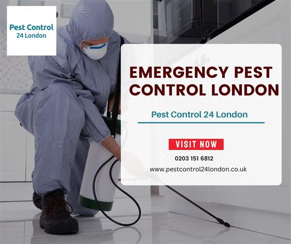 Pest Control 24 London image 1