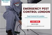 Pest Control 24 London en London