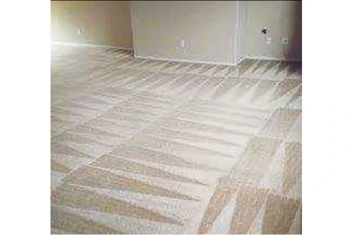 Limpieza al vapor image 2