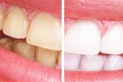 Shanabo Dental Clinic thumbnail 3