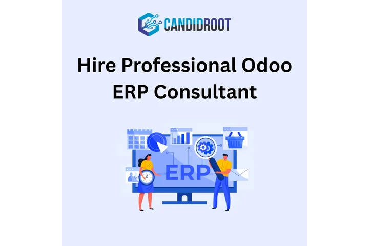 Expert Odoo ERP Consultant image 1