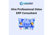 Expert Odoo ERP Consultant en Toronto