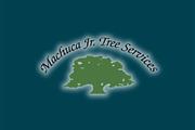 Machuca Jr Tree Services